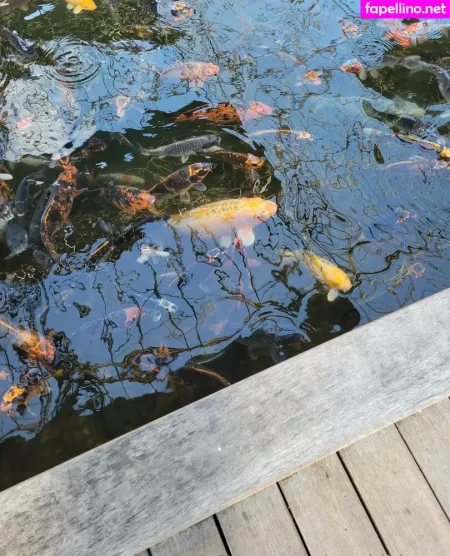 Geekikitten OnlyFans Thumbnail #0tHzq7EV7m