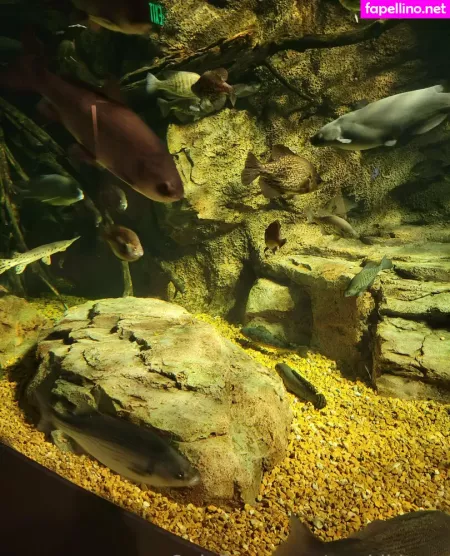 Geekikitten OnlyFans Thumbnail #ABdsaIvwBU