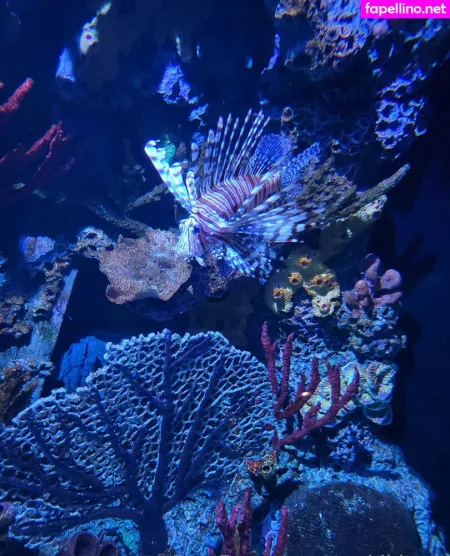 Geekikitten OnlyFans Thumbnail #EDn9XupBbN