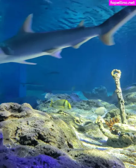 Geekikitten OnlyFans Thumbnail #EVTjDdMotd