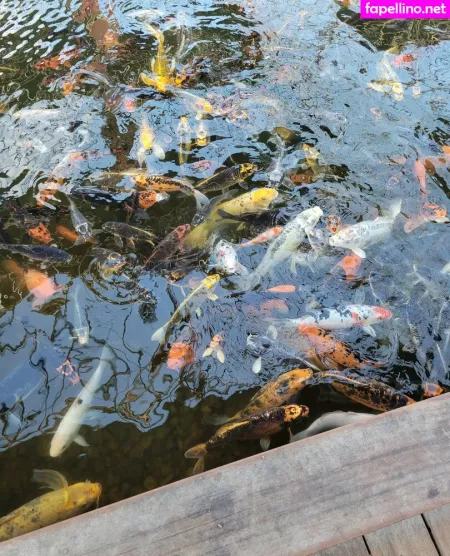 Geekikitten OnlyFans Thumbnail #H08gP3IdVV