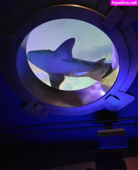 Geekikitten OnlyFans Thumbnail #O1t3EYkNGa