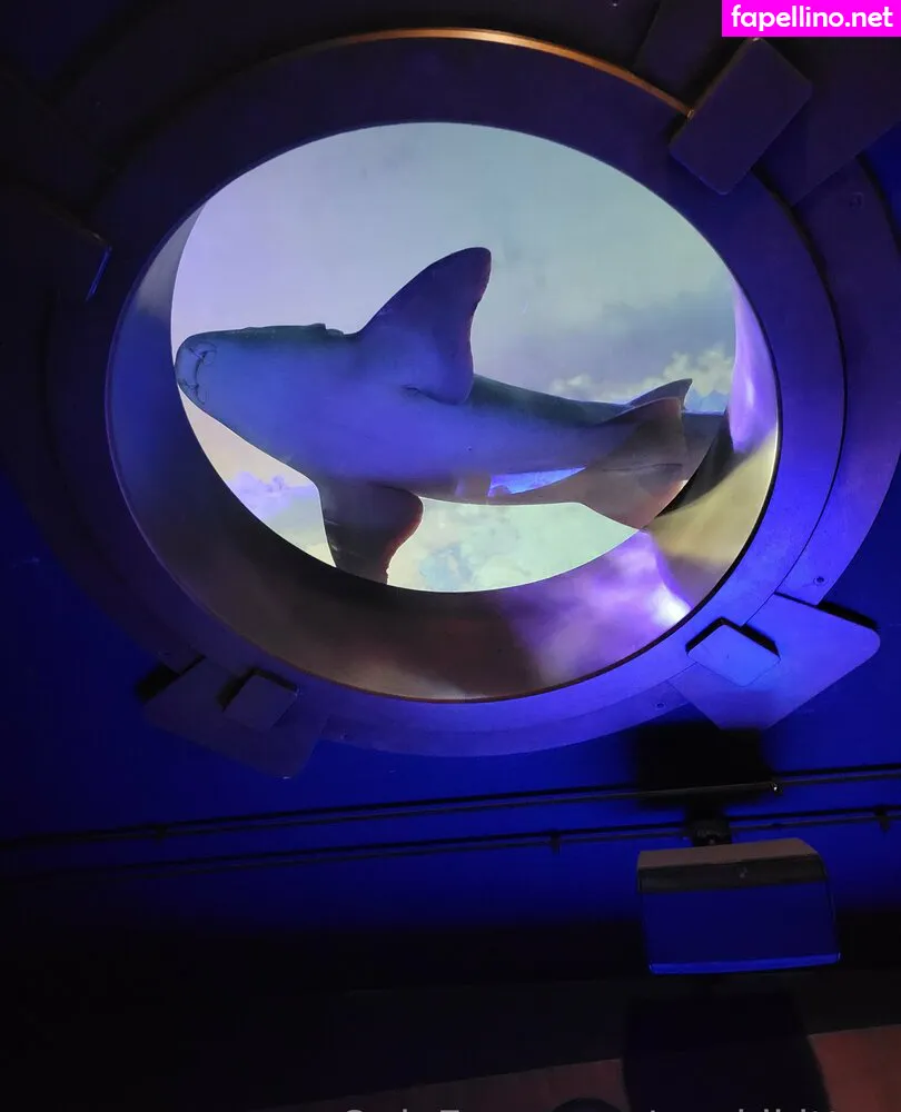 geekikitten, geekykittenxo Nude Leaked OnlyFans Photo #O1t3EYkNGa