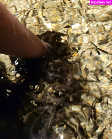 Geekikitten OnlyFans Thumbnail #OMWyjMT2BU