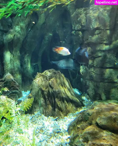 Geekikitten OnlyFans Thumbnail #PaS4FYJlnT