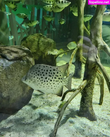 Geekikitten OnlyFans Thumbnail #TPiGKUpPdW