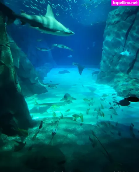 Geekikitten OnlyFans Thumbnail #X2X38AGI40