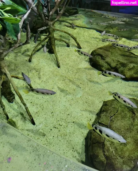 Geekikitten OnlyFans Thumbnail #YYcM2lTIrH