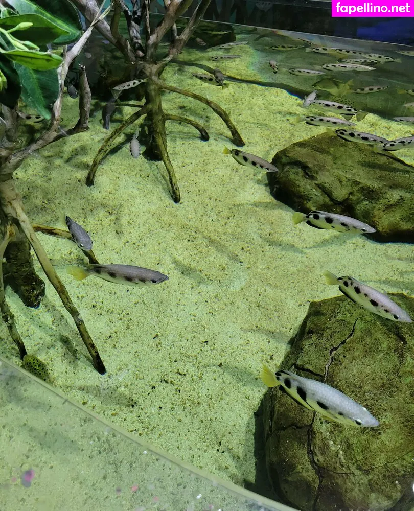 geekikitten, geekykittenxo Nude Leaked OnlyFans Photo #YYcM2lTIrH