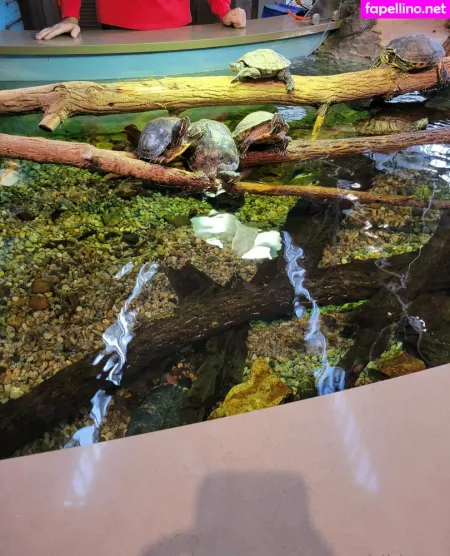 Geekikitten OnlyFans Thumbnail #Yr1S2D60rD