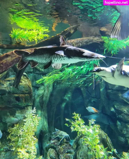 Geekikitten OnlyFans Thumbnail #cekfobLK3e