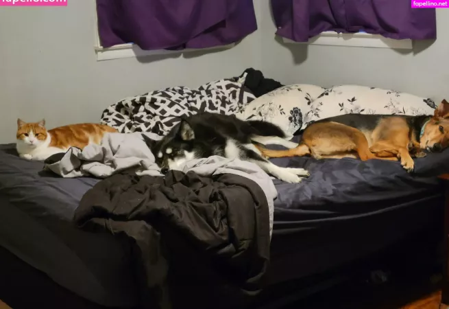 Geekikitten OnlyFans Thumbnail #dbtvlhPot2