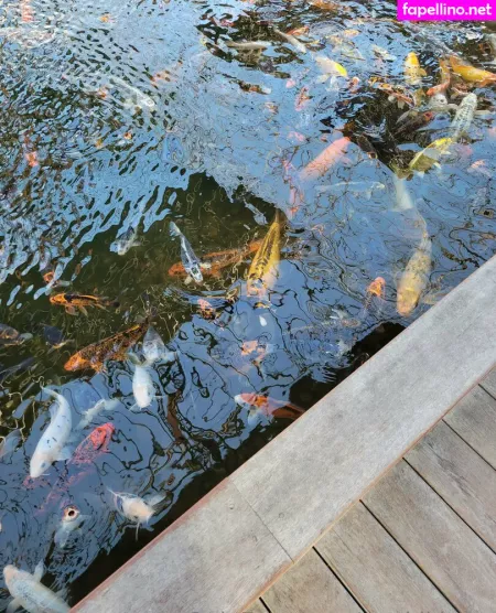 Geekikitten OnlyFans Thumbnail #gJcsV8AnmD