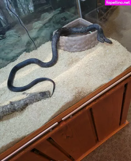 Geekikitten OnlyFans Thumbnail #gnvrCUh95H