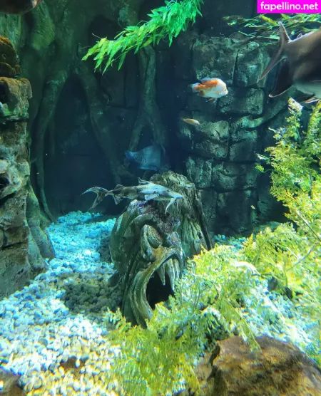 Geekikitten OnlyFans Thumbnail #qobvyZmZvv