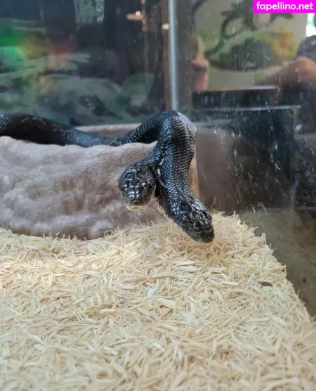 Geekikitten OnlyFans Thumbnail #tpGQEowfQ4