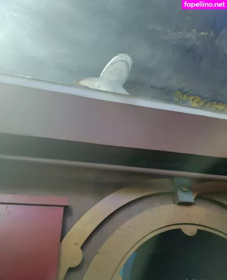 Geekikitten OnlyFans Thumbnail #w7EB84gL7K