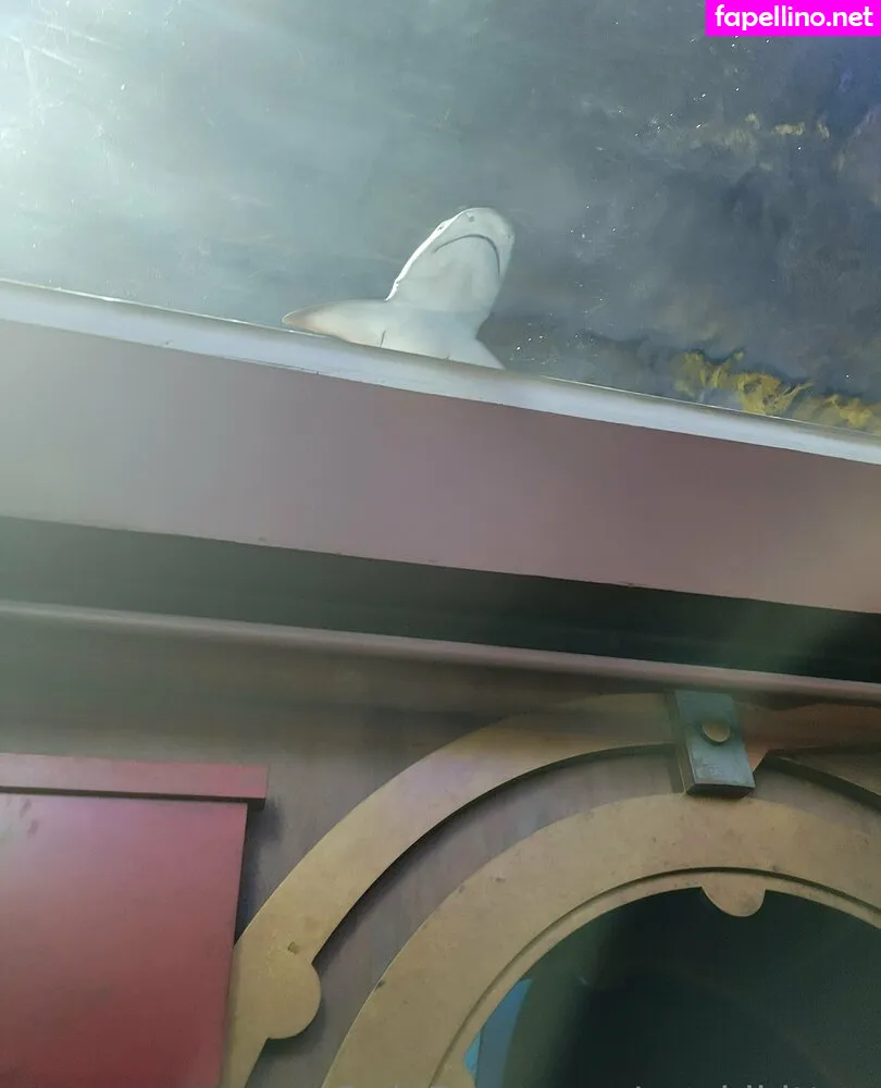 geekikitten, geekykittenxo Nude Leaked OnlyFans Photo #w7EB84gL7K