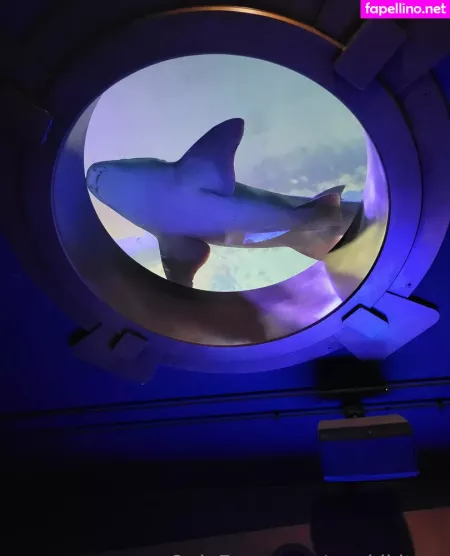 Geekikitten OnlyFans Thumbnail #wt26Lk22qI