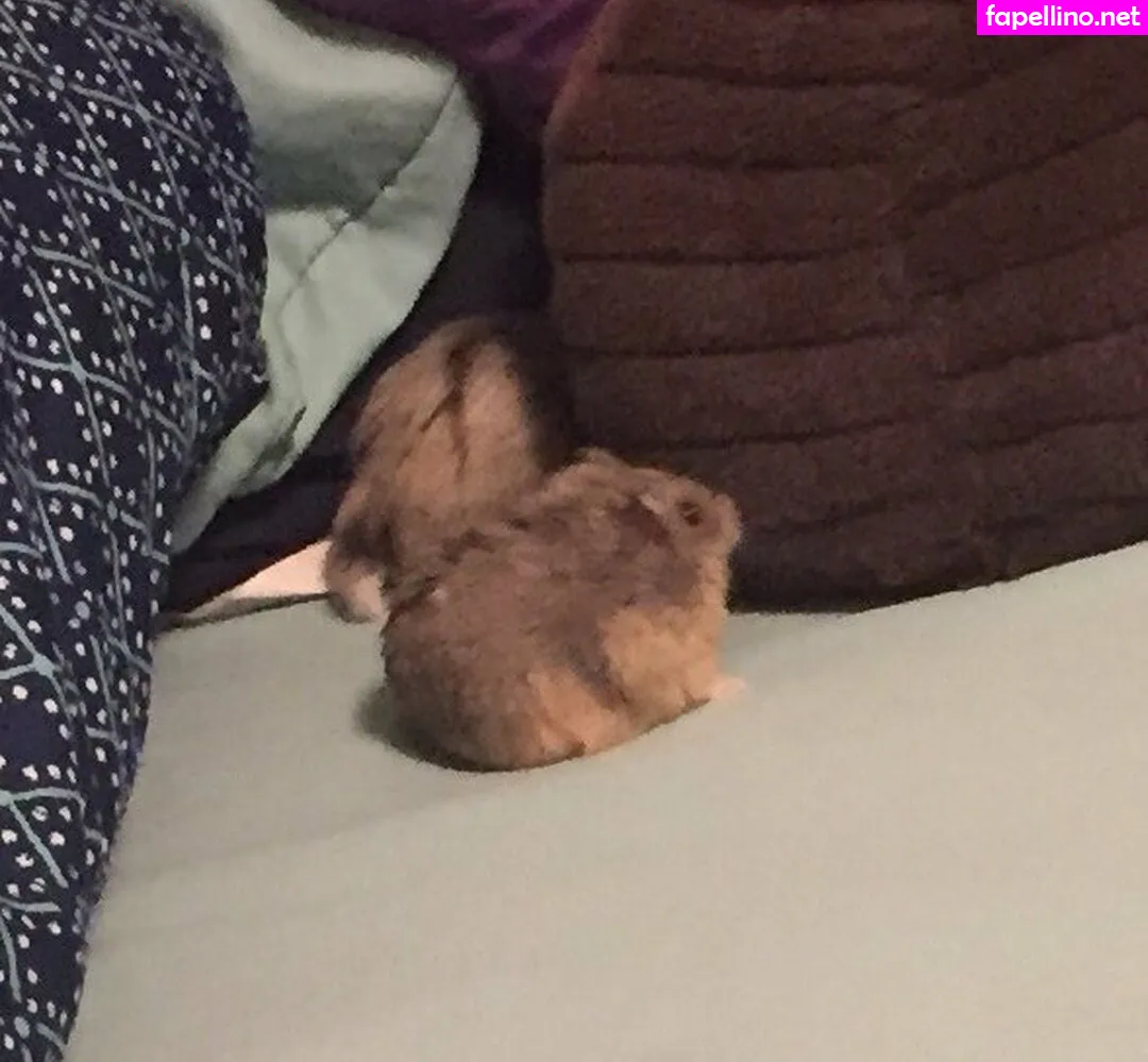 gambinoscamp, geminiscamp Nude Leaked OnlyFans Photo #8F1iVF33Et