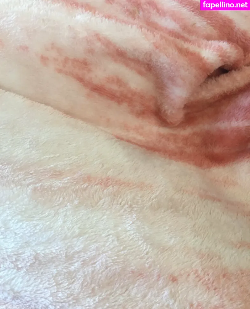 gambinoscamp, geminiscamp Nude Leaked OnlyFans Photo #K5bHakicad