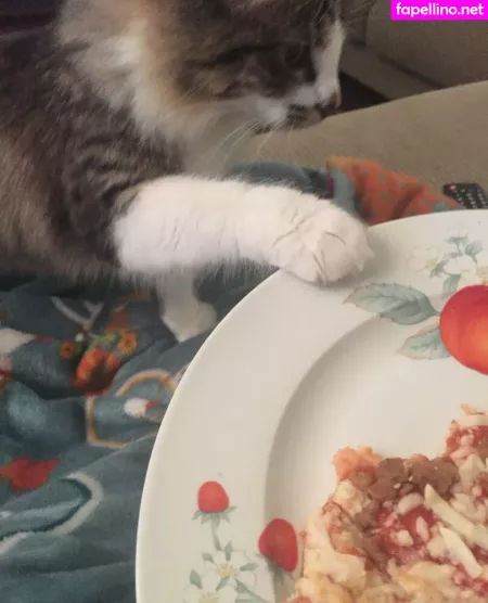 Geminiscamp OnlyFans Thumbnail #UN7RuZZovV