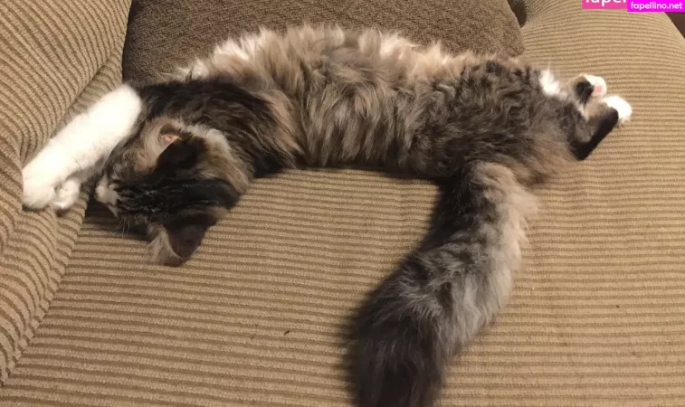 Geminiscamp OnlyFans Thumbnail #aMt55KwCCc