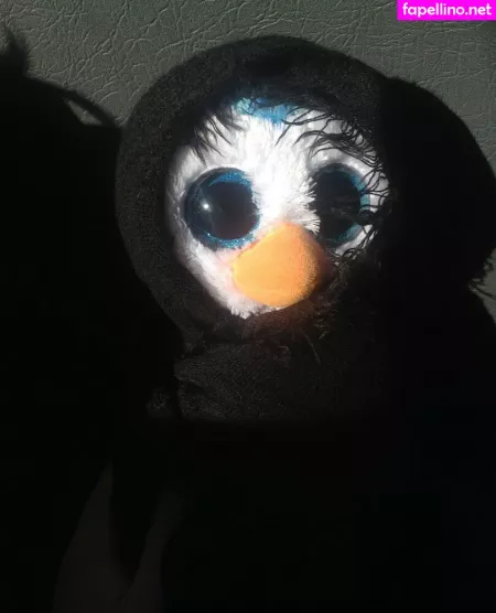 Geminiscamp OnlyFans Thumbnail #ix6xhuenhr