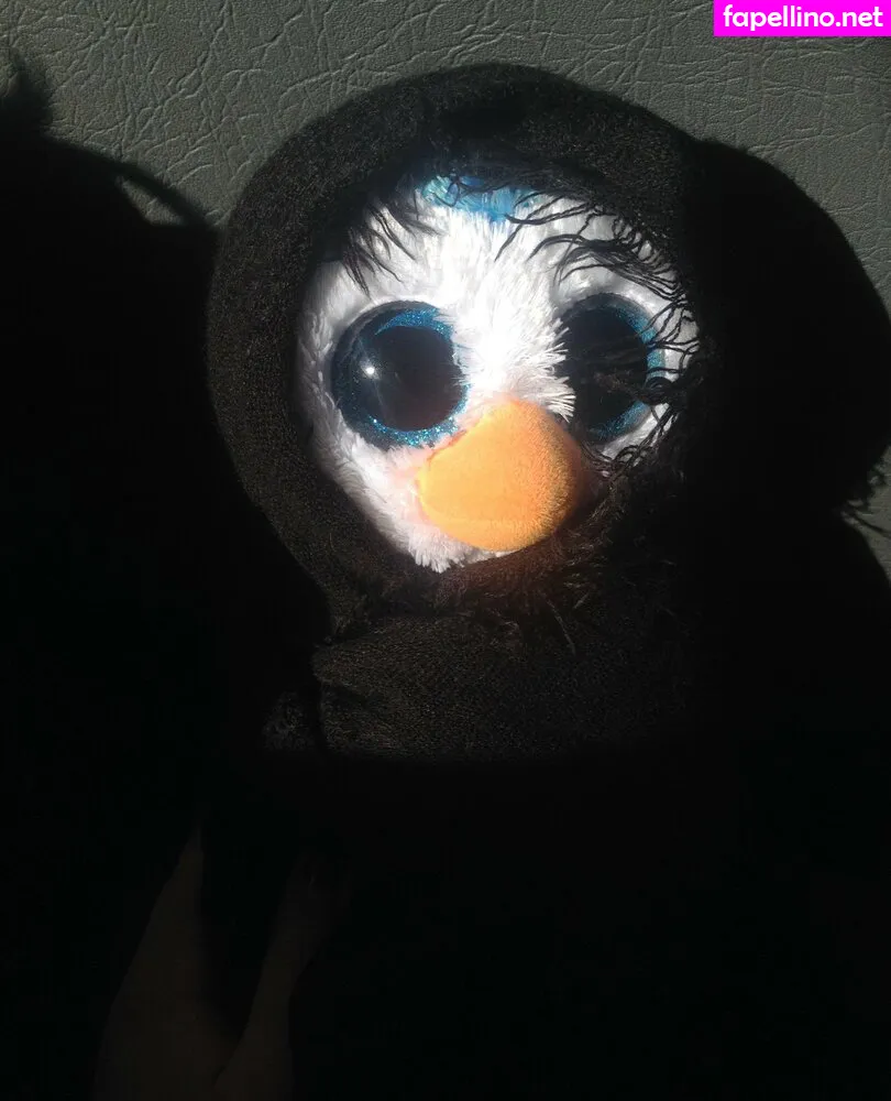 gambinoscamp, geminiscamp Nude Leaked OnlyFans Photo #ix6xhuenhr