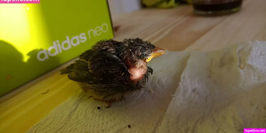 Gemma9 OnlyFans Thumbnail #6gO9GJflVd