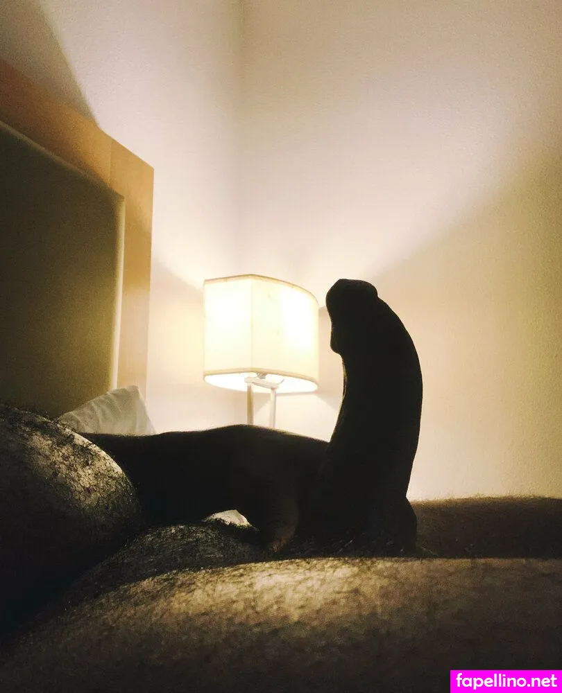 getlivemedia Nude Leaked OnlyFans Photo #E62wxPu5dS