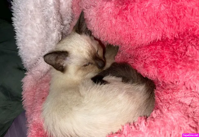 Gigglebox333 OnlyFans Thumbnail #5Y8XGBlGVx