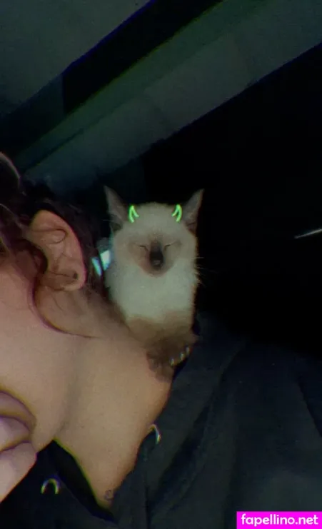 Gigglebox333 OnlyFans Thumbnail #uok3867oCs