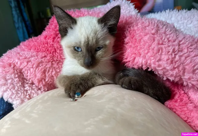 Gigglebox333 OnlyFans Thumbnail #xeNoZWEOWF