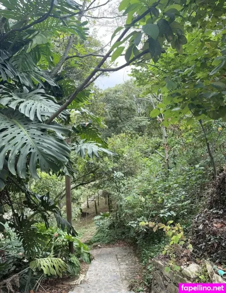 Gigidiary OnlyFans Thumbnail #uKcZsfoy0z