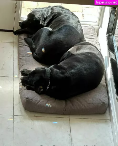 Gillellisyoung OnlyFans Thumbnail #3smUrNgWj7