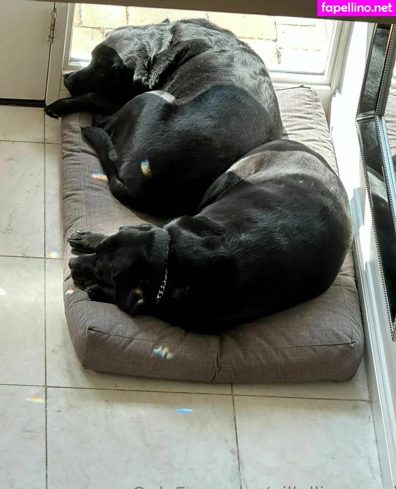 gillellisyoung Nude Leaked OnlyFans Photo #3smUrNgWj7