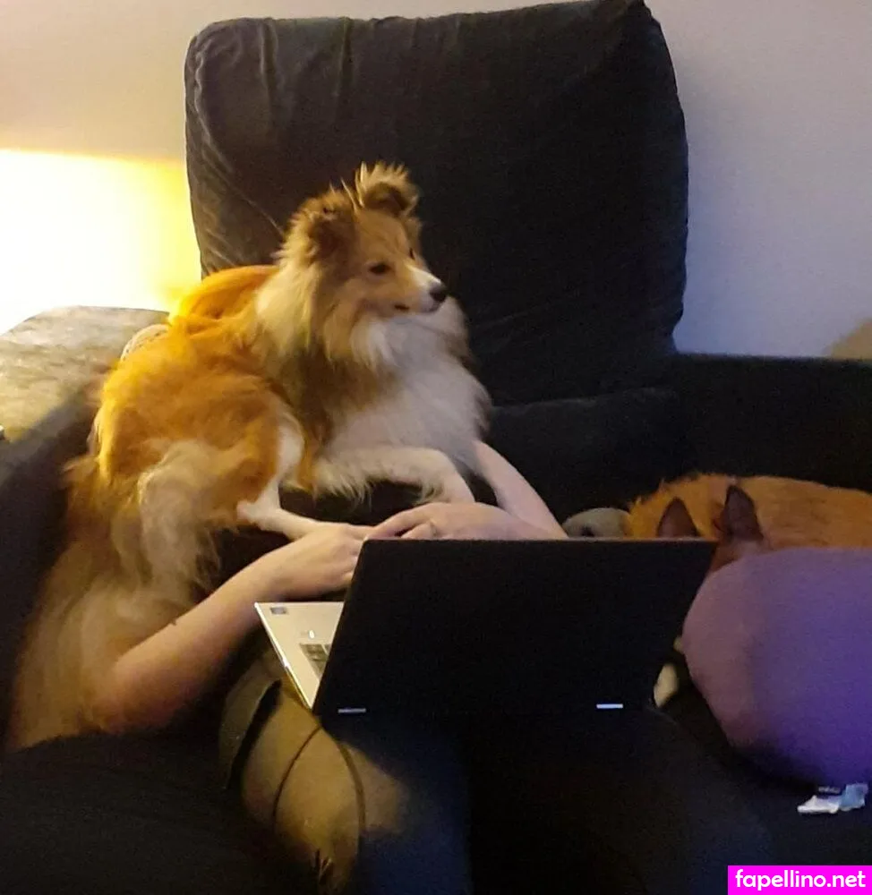 ginger_nut, ginger_nut.thehamster, https: Nude Leaked OnlyFans Photo #taPQhQYIyj