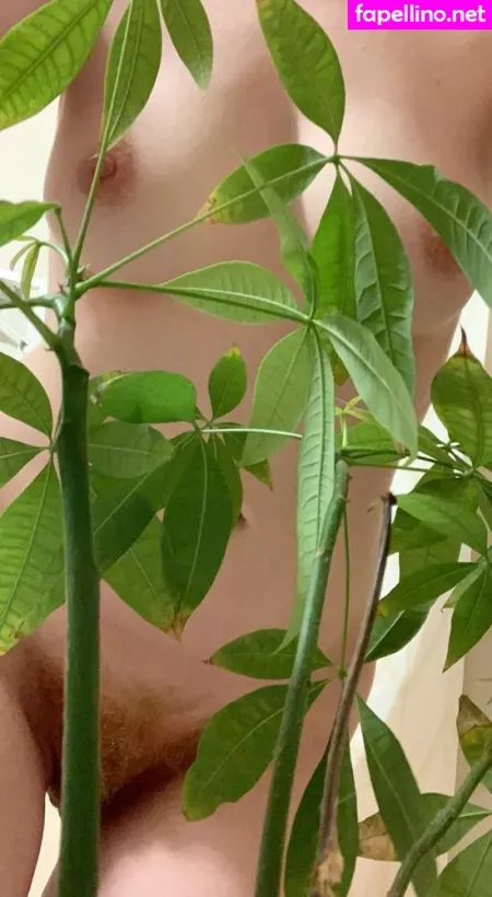 Gingerann OnlyFans Thumbnail #6ugCHIQMbe