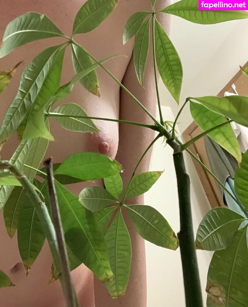 eexoticbabe, gingerann Nude Leaked OnlyFans Photo #J4GKnUgiDi