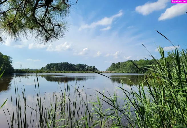 Gingerhippie74 OnlyFans Thumbnail #eWQUFcmUtQ