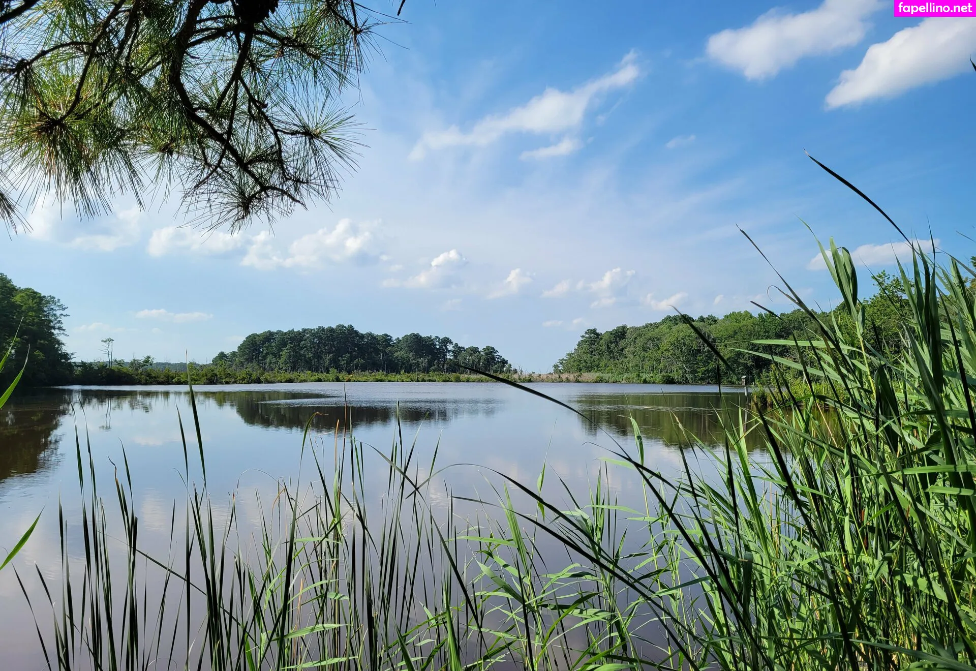 gingerhippie, gingerhippie74 Nude Leaked OnlyFans Photo #eWQUFcmUtQ