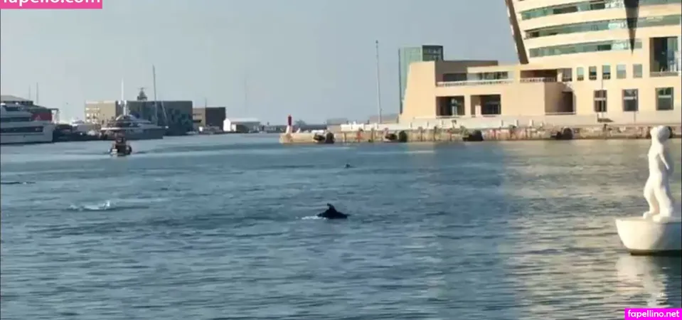 Gioscotti Main Profile Photo