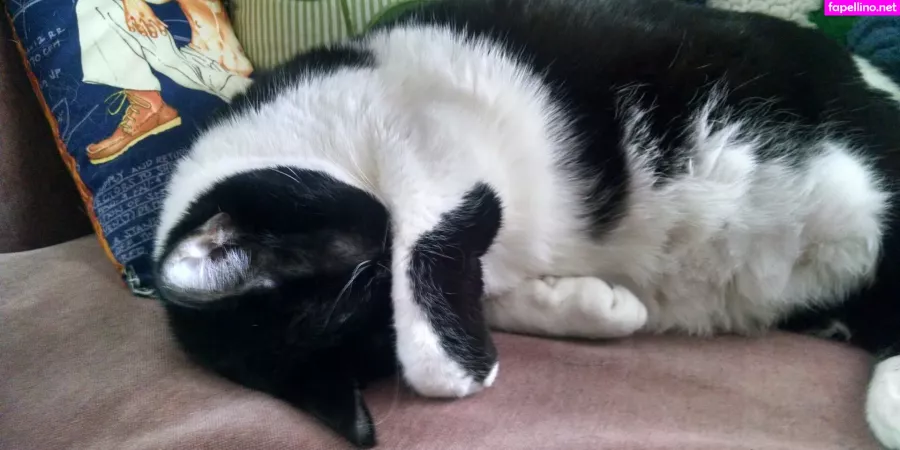 Girlnumbersix OnlyFans Thumbnail #k8JWCjSig3