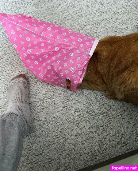 Girloftheforest OnlyFans Thumbnail #9C7HQfgZUr