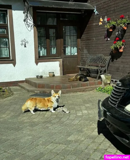 Girloftheforest OnlyFans Thumbnail #NvptafBvVd