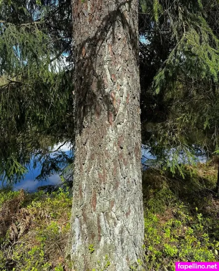 Girloftheforest OnlyFans Thumbnail #QC61QMDt0J