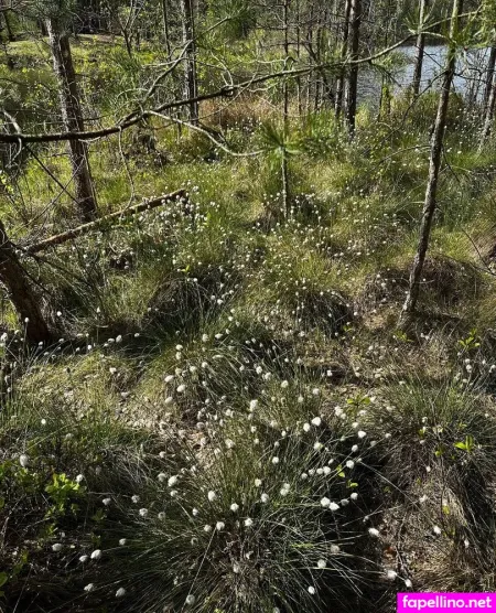 Girloftheforest OnlyFans Thumbnail #T4fx9q5Fn6