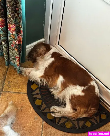 Girloftheforest OnlyFans Thumbnail #TbSv126f92