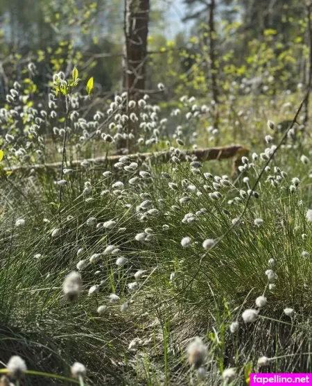 Girloftheforest OnlyFans Thumbnail #Ti0DVwH4RC